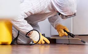 Best Termite Inspection and Treatment  in El Verano, CA